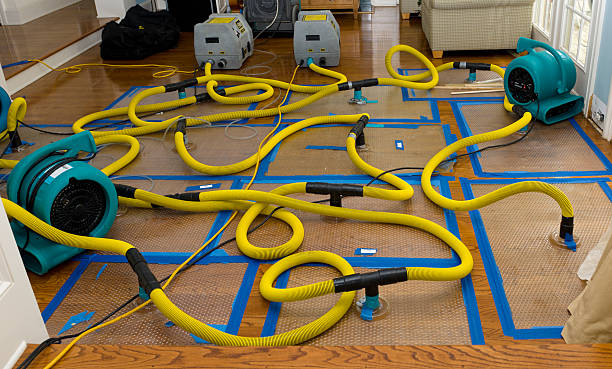 Professional Flood Damage Restoration technician working in Falls City, TX